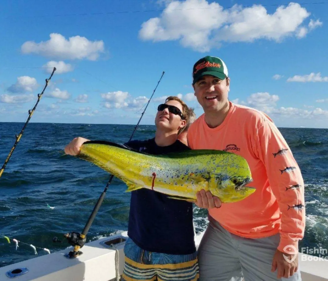 Mahi Mahi