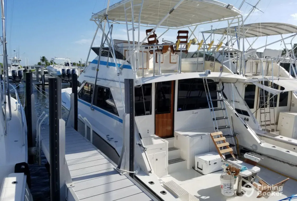 Fishing Trips in Jupiter and West Palm Beach, FL